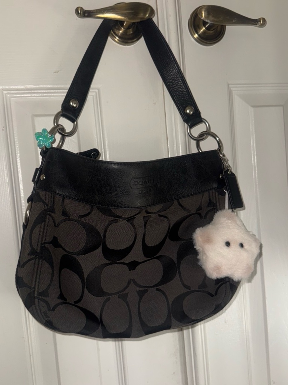 Coach Black & Brown Signature Hobo Bag